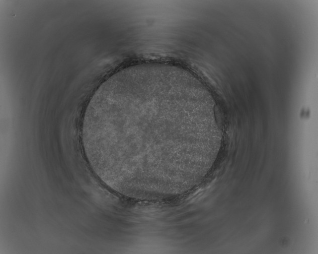X0000091890817200710031800