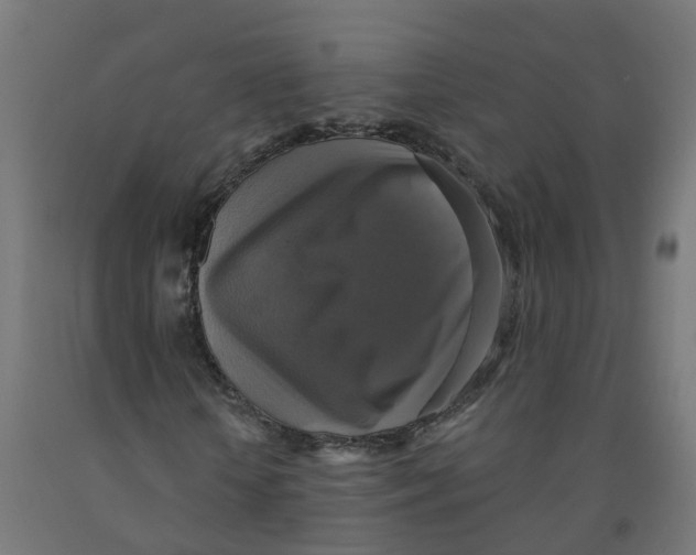 X0000091890818200710031800