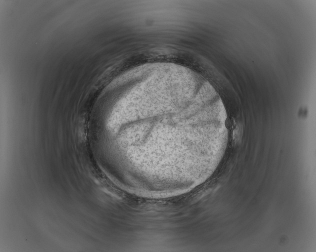 X0000091890819200710031800