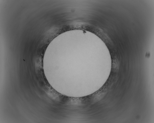 X0000091890820200710031800