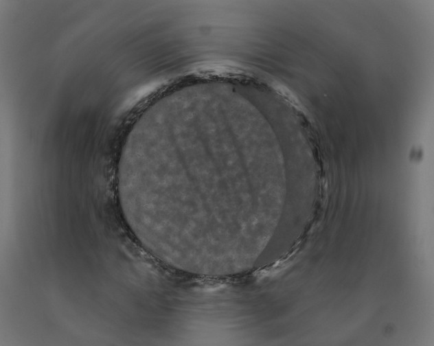 X0000091890822200710031800