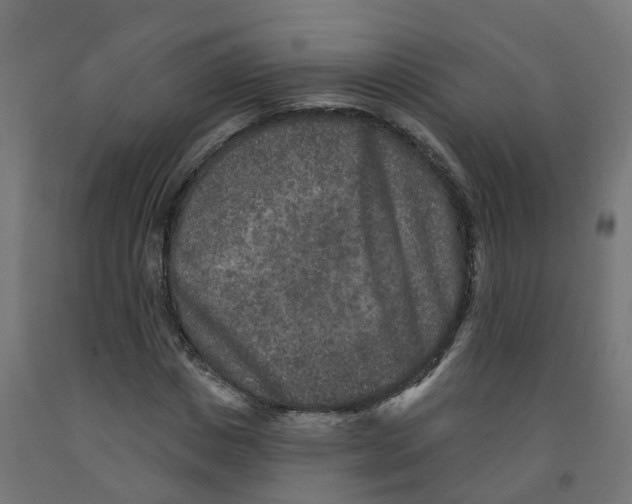 X0000091890825200710031800