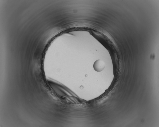 X0000091890826200710031800