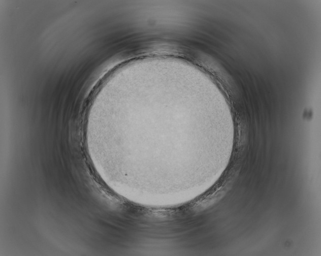 X0000091890828200710031800