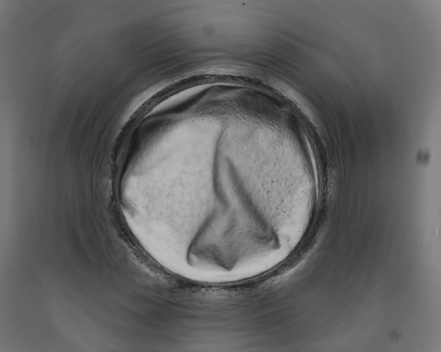 X0000091890829200710031801