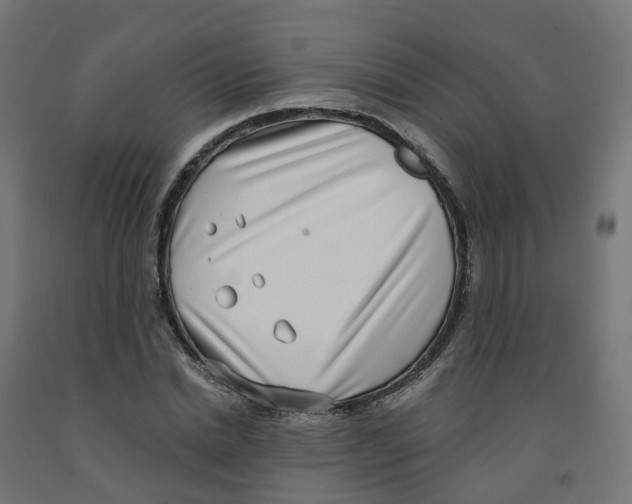 X0000091890830200710031801