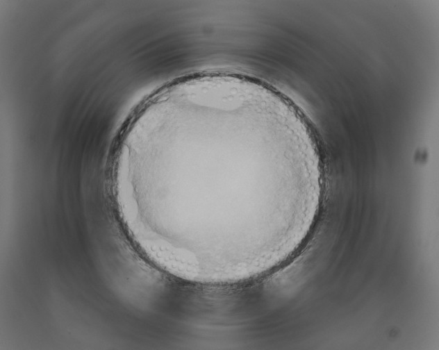 X0000091890832200710031801