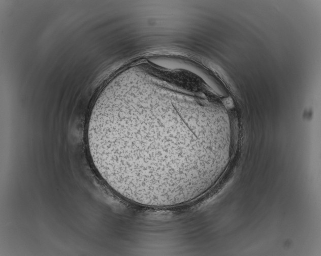 X0000091890833200710031801