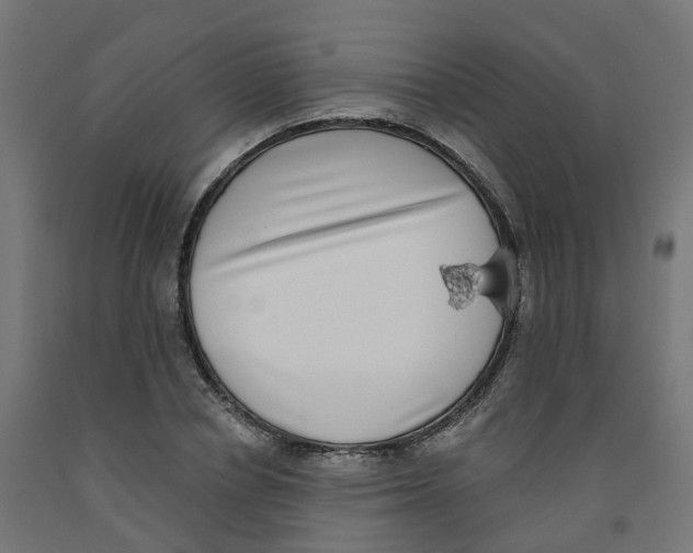X0000091890834200710031801