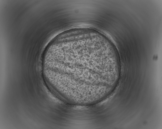 X0000091890835200710031801