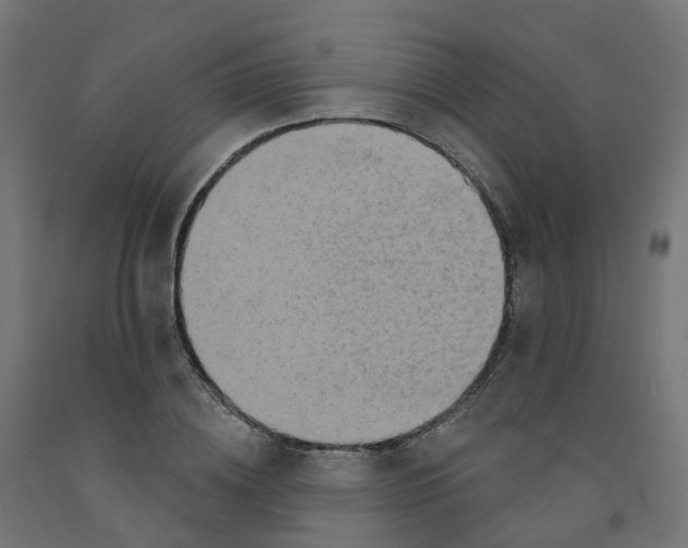 X0000091890836200710031801