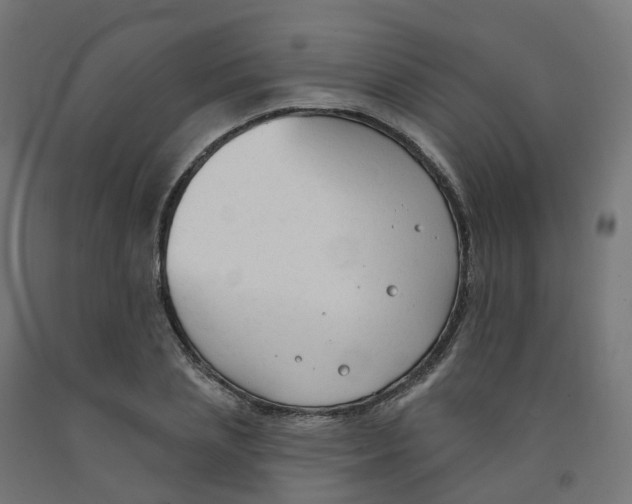 X0000091890837200710031801