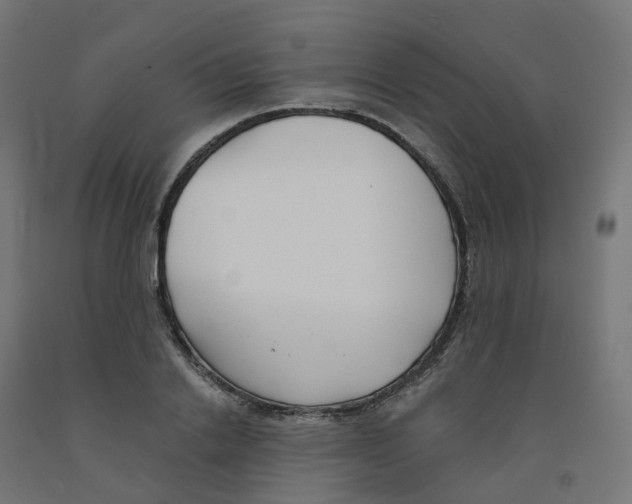 X0000091890838200710031801