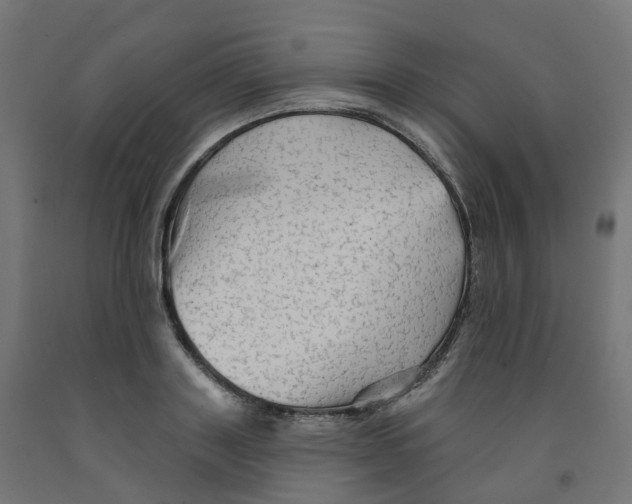 X0000091890843200710031801