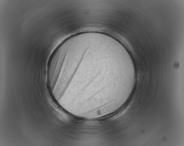 X0000091890844200710031801