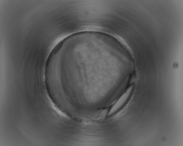 X0000091890846200710031801