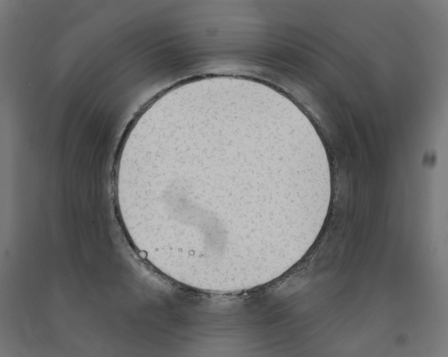 X0000091890848200710031801