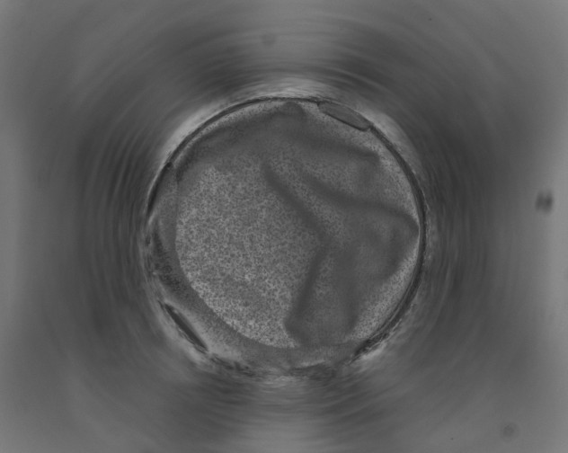 X0000091890850200710031801