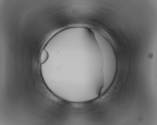 X0000091890852200710031801