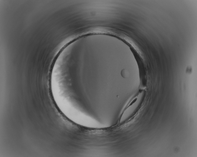 X0000091890853200710031801