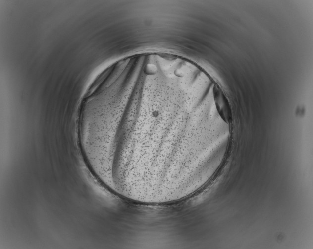 X0000091890854200710031801