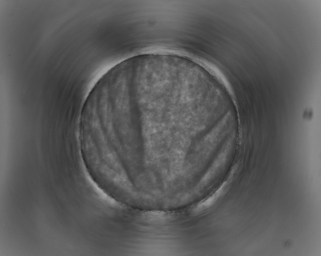 X0000091890855200710031801