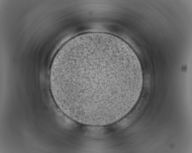 X0000091890856200710031801