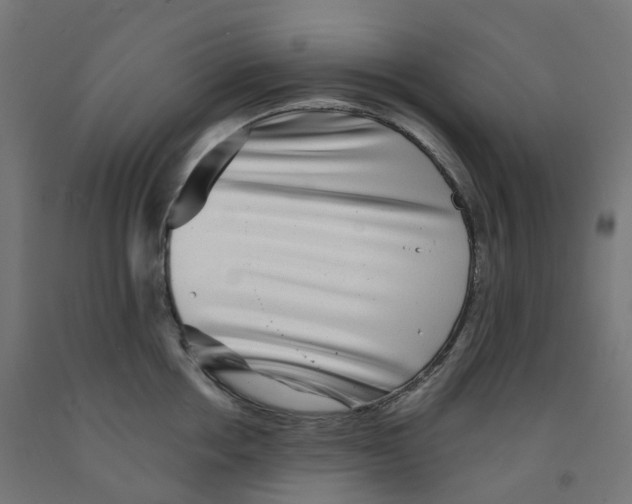 X0000091890858200710031801