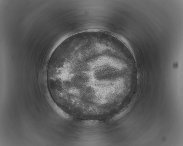 X0000091890859200710031801