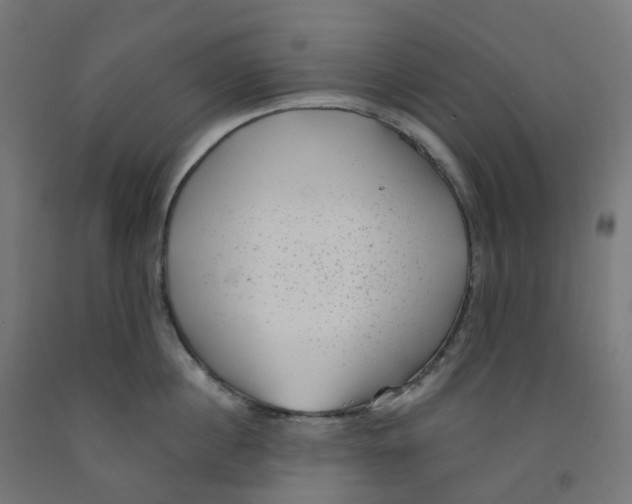 X0000091890860200710031801