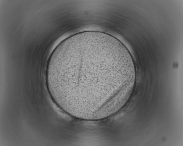 X0000091890861200710031801