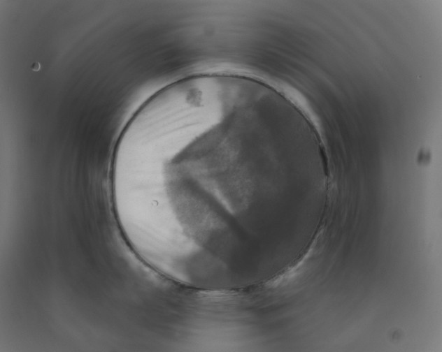 X0000091890863200710031801