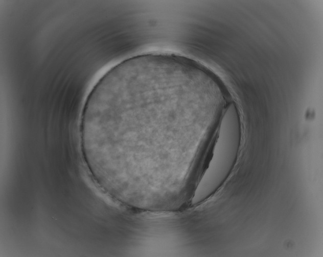 X0000091890864200710031801