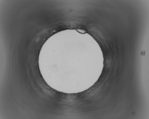 X0000091890865200710031800
