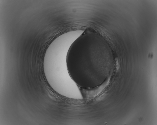 X0000091890868200710031800