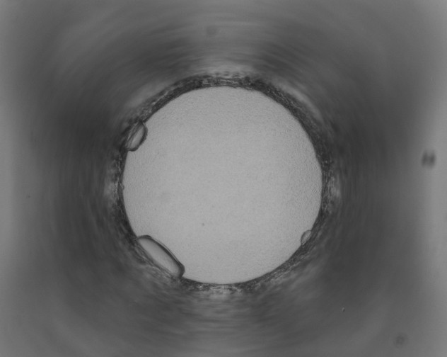 X0000091890869200710031800