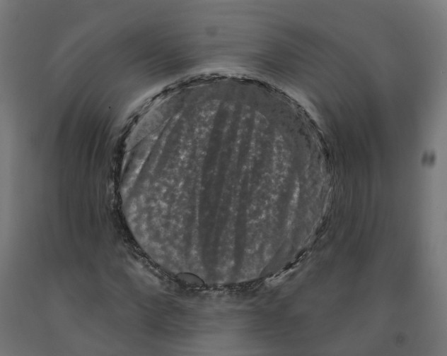X0000091890872200710031800