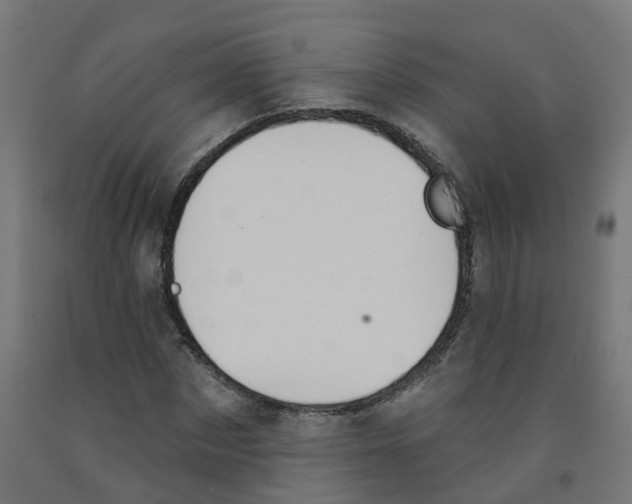 X0000091890873200710031800