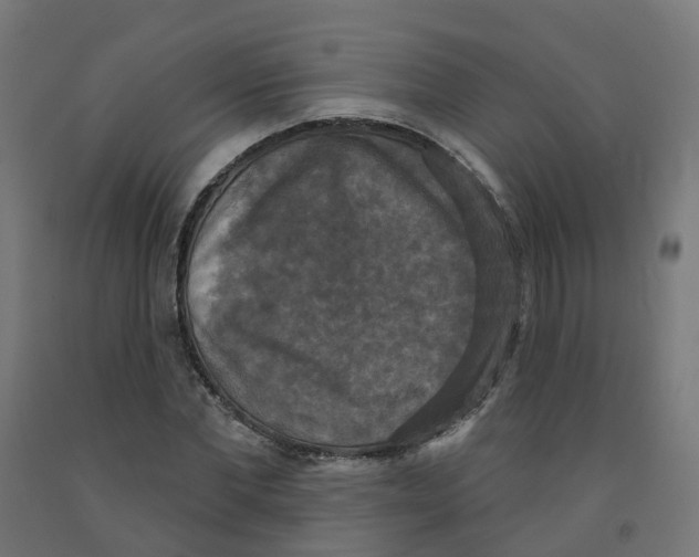 X0000091890877200710031800