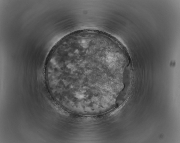 X0000091890879200710031800