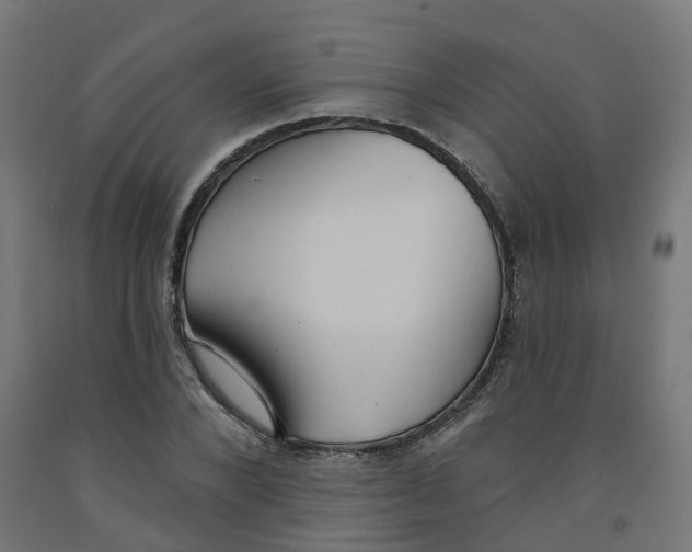 X0000091890880200710031800