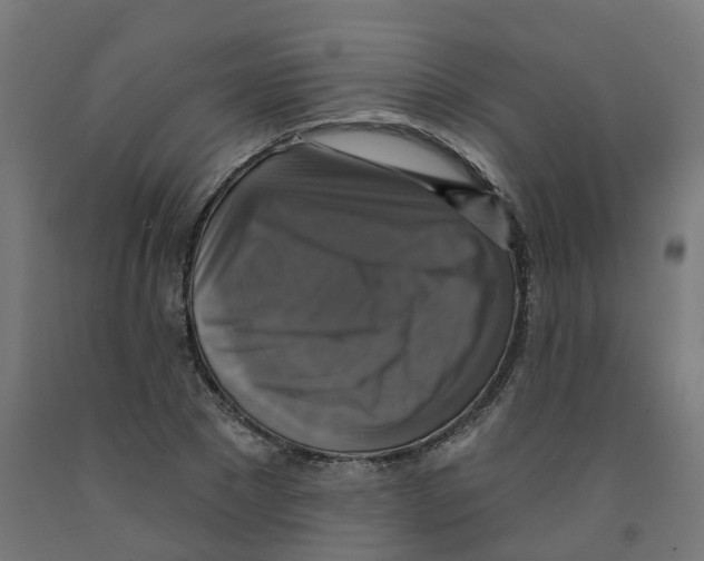 X0000091890881200710031800