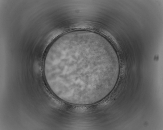 X0000091890882200710031800