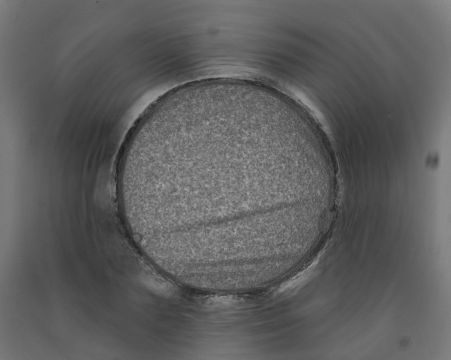 X0000091890883200710031800