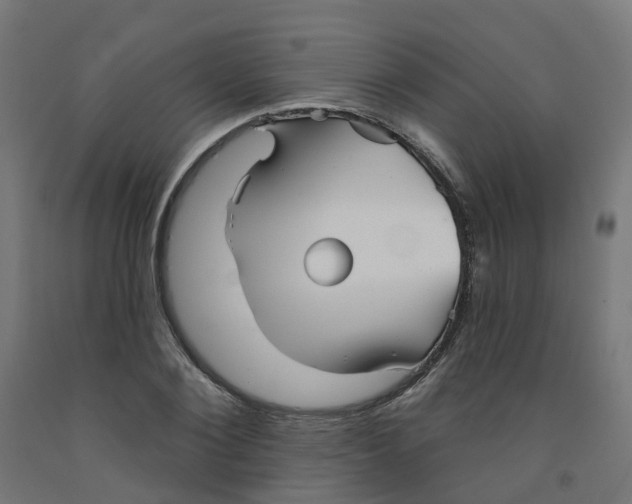 X0000091890884200710031800