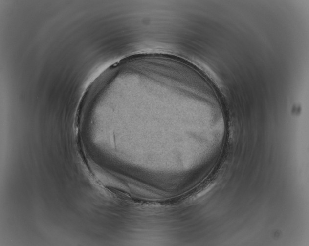 X0000091890885200710031800