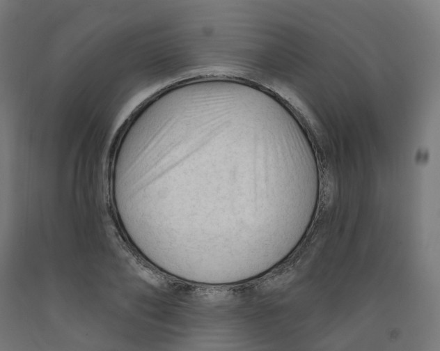X0000091890886200710031800