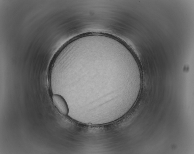 X0000091890887200710031800