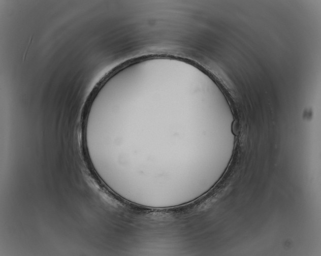 X0000091890888200710031800