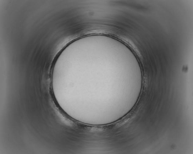 X0000091890890200710031800
